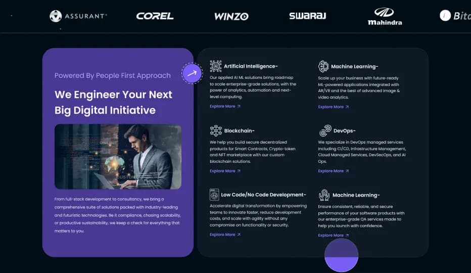 Bugraptor case study